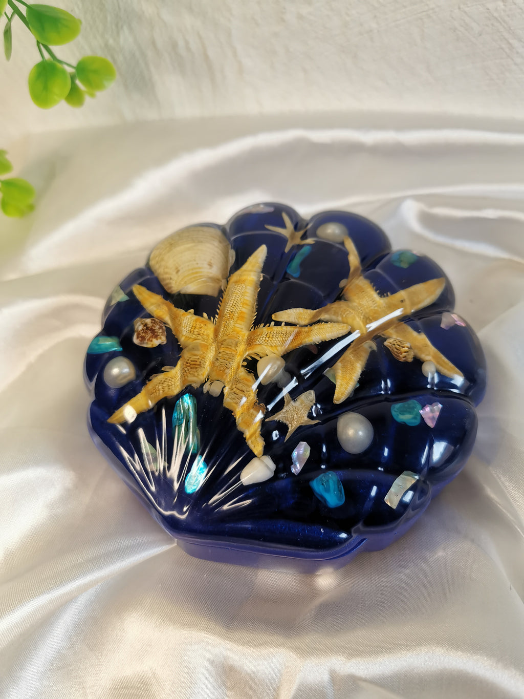 Boîte coquillage bleu marine