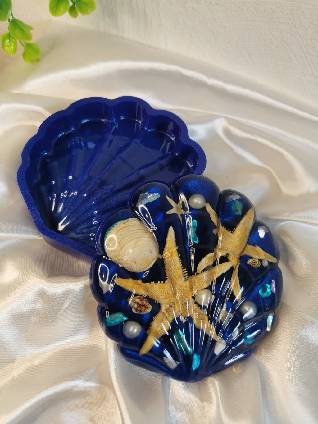 Boîte coquillage bleu marine
