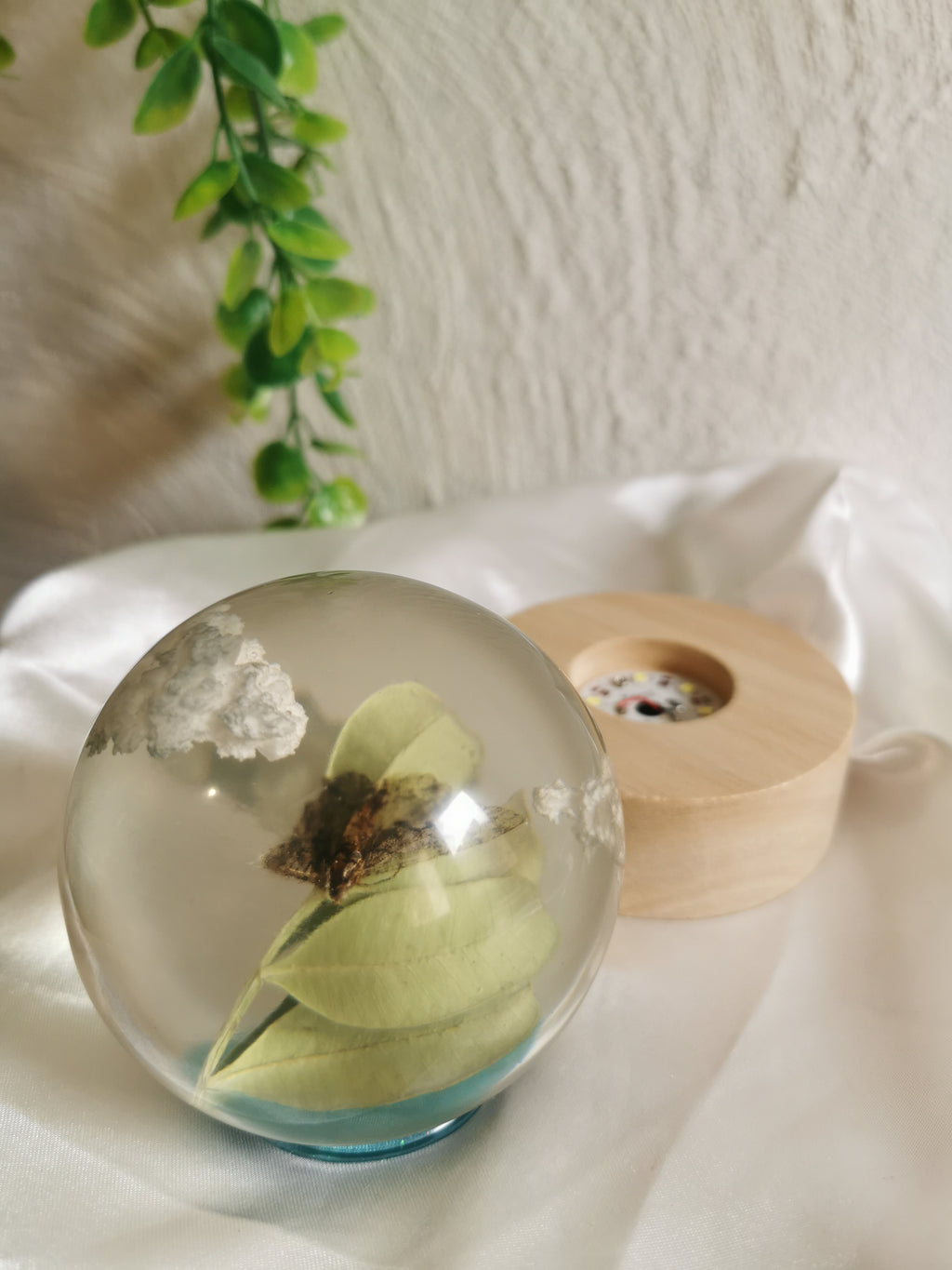Veilleuse papillon