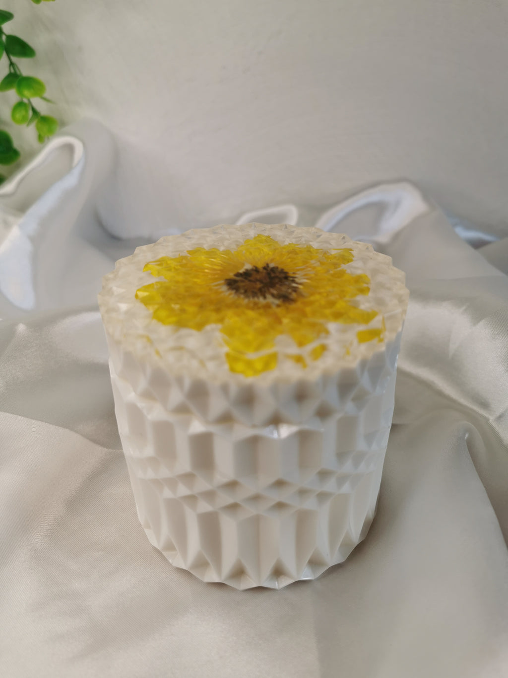 Boîte fleur de Tournesol